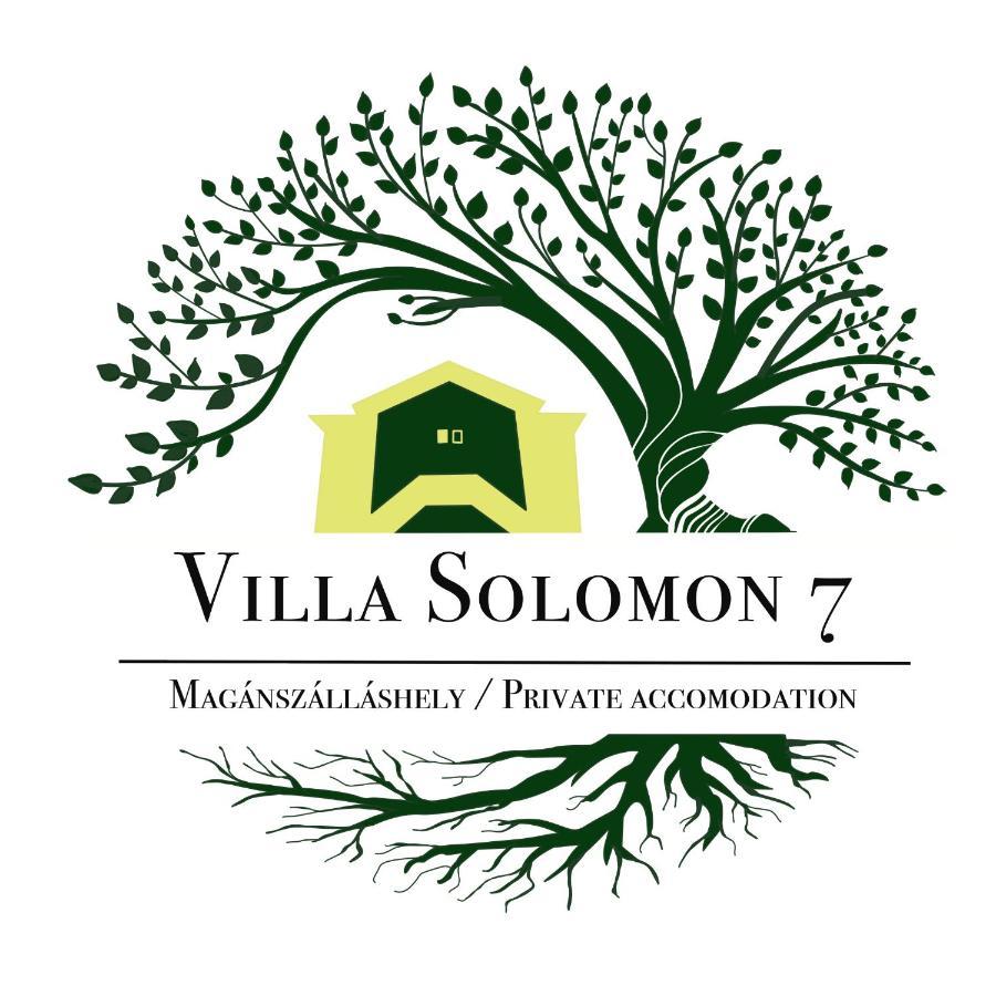 Apartmentvillasolomon7 ヴィシェグラード エクステリア 写真